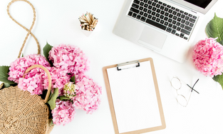 Bowtie Hospitality, Bangalore